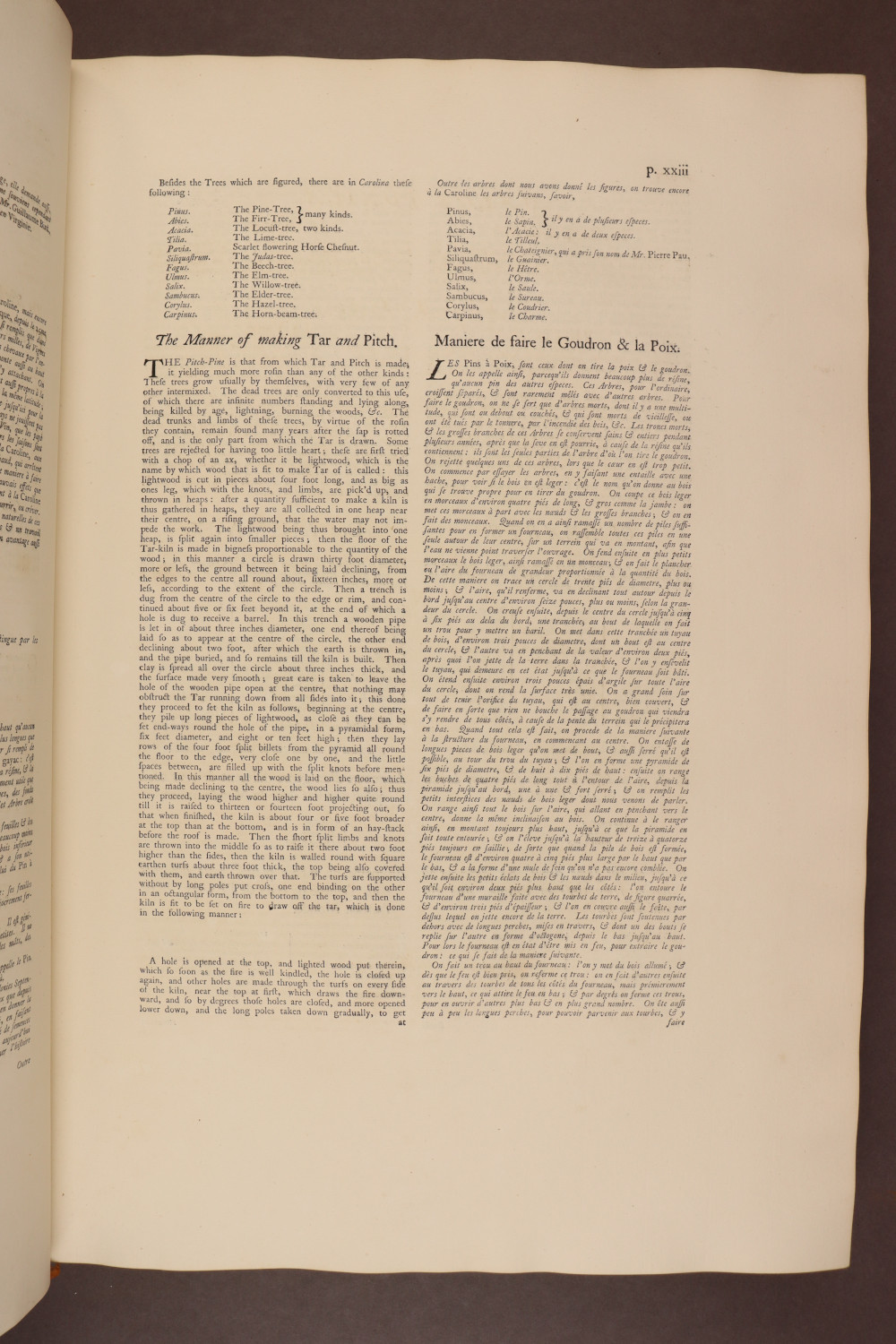 Page xxiii